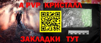 стафф Шебекино