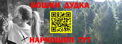 стафф Шебекино