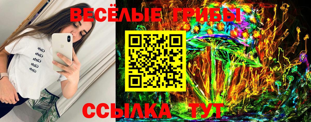 Псилоцибиновые грибы Cubensis  Псилоцибиновые грибы ЛСД  Вход с VPN  Кызыл 